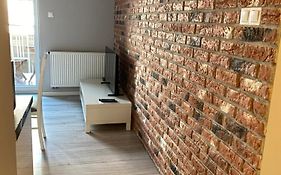 Apartament Centrum Więckowskiego